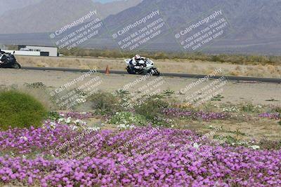 media/Feb-04-2023-SoCal Trackdays (Sat) [[8a776bf2c3]]/Turn 15 Inside Blooming (1050am)/